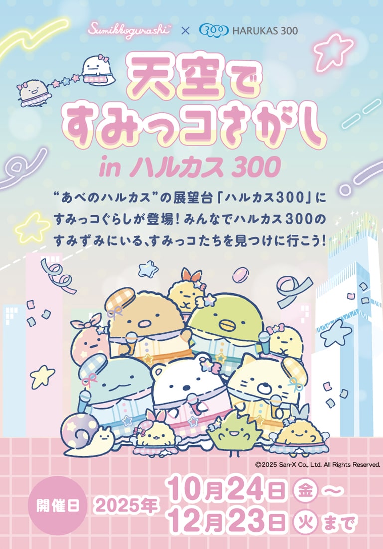 【大大大大大特価 値下げ交渉️⭕️】コラボ品や限定品あり すみっコぐらし すみっコぐらしofficial web site