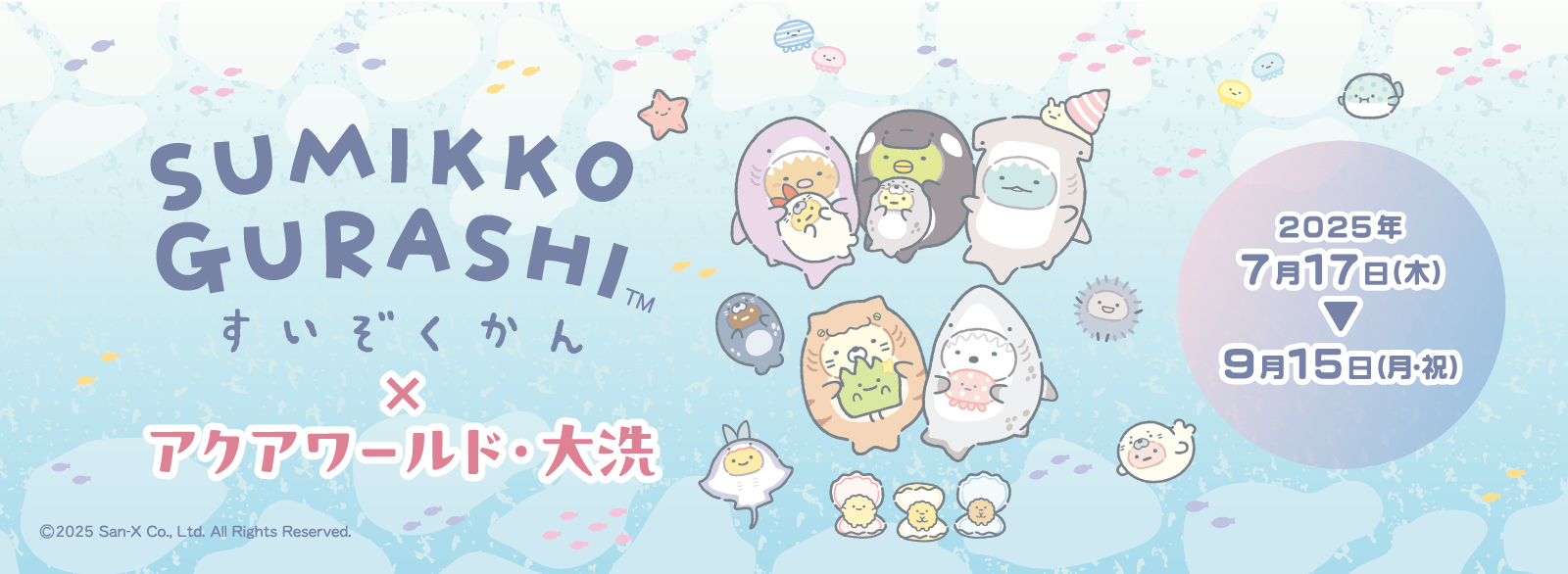 すみっコぐらし×アクアワールド大洗