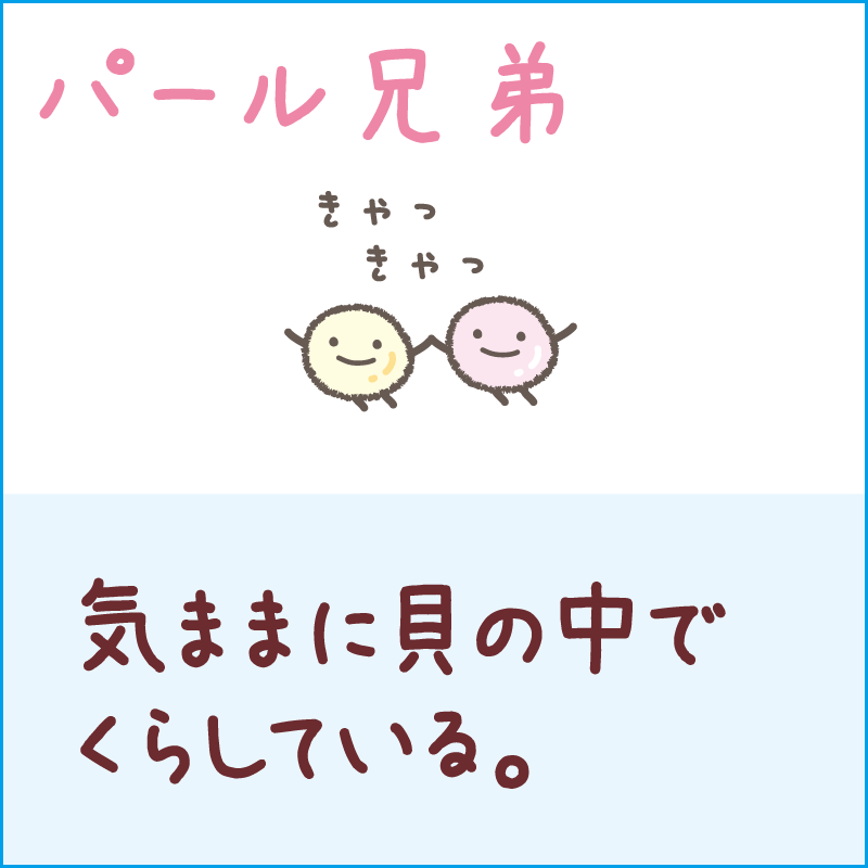パール兄弟