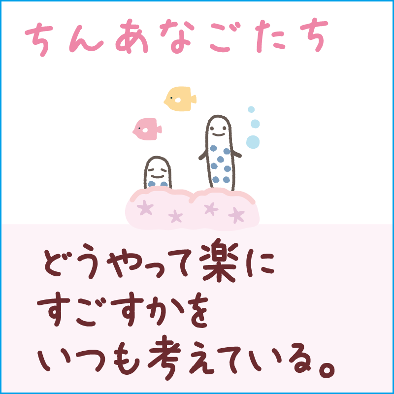 ちんあなごたち