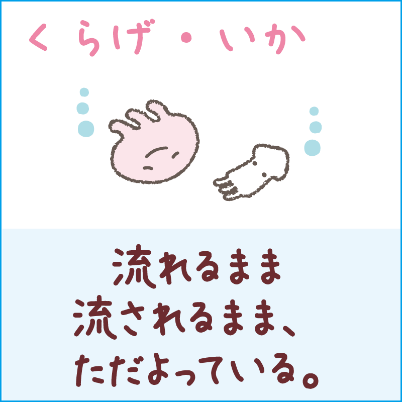 くらげ・いか