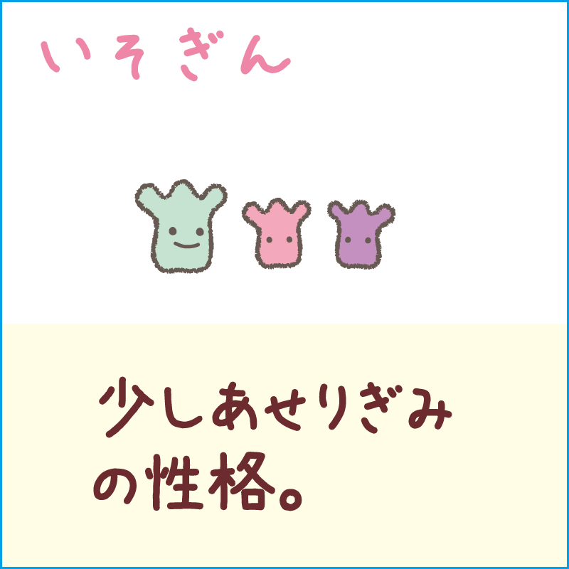 いそぎん