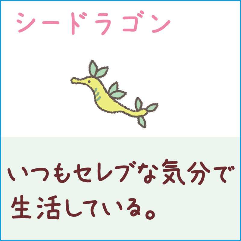シードラゴン