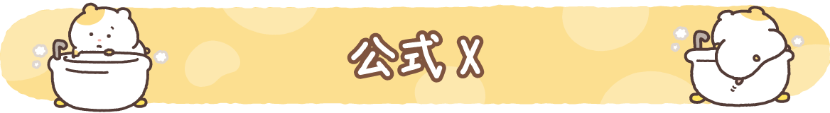 公式X