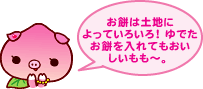 お餅は土地によっていろいろ!ゆでたお餅を入れてもおいしいもも〜。