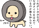 これがトホホな犬。なぜタイヤをはめているのか誰も知らない。