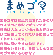 まめゴマ