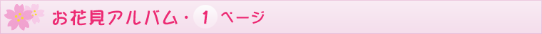 ԌAo1y[W