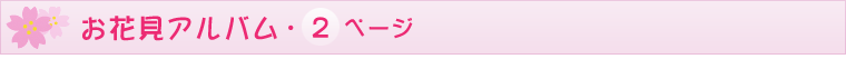 ԌAo2y[W