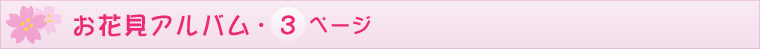 ԌAo3y[W