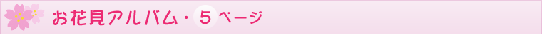 ԌAo5y[W