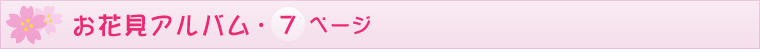 ԌAo7y[W