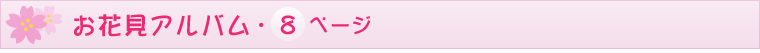 ԌAo8y[W