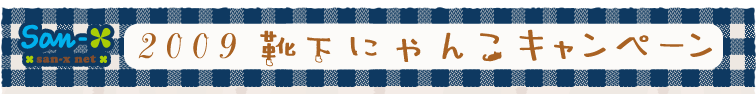 2009Cɂ񂱃Ly[