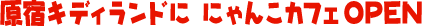 hLfBh ɂ񂱃JtFOPEN