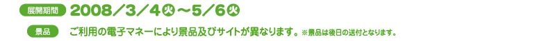 WJԁF2008N3/4()`5/6()@