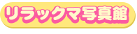 bN}ʐ^