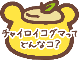 チャイロイコグマってどんなコ？