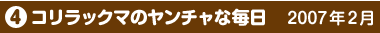 4RbN}̃`Ȗ@2007N2