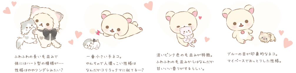 子ネコ紹介