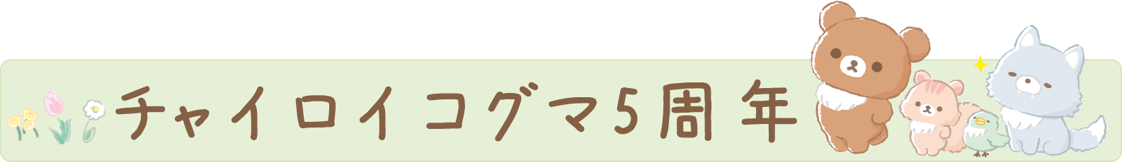 チャイロイコグマ5周年