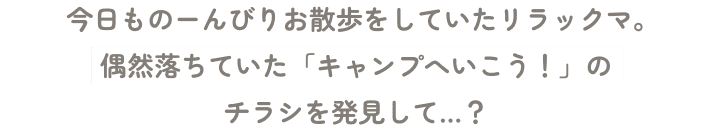 今日もの～んびりお散歩をしていたリラックマ。偶然落ちていた「キャンプへいこう！」のチラシを発見して…？