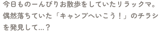 今日もの～んびりお散歩をしていたリラックマ。偶然落ちていた「キャンプへいこう！」のチラシを発見して…？