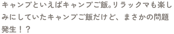 キャンプといえばキャンプご飯。リラックマも楽しみにしていたキャンプご飯だけど、まさかの問題発生！？