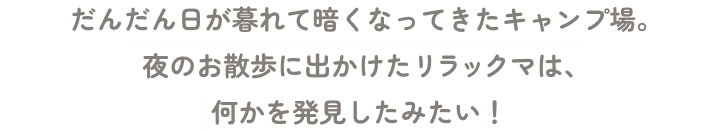 だんだん日が暮れて暗くなってきたキャンプ場。夜のお散歩に出かけたリラックマは、何かを発見したみたい！