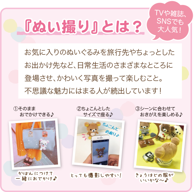 ぬい撮りとは
