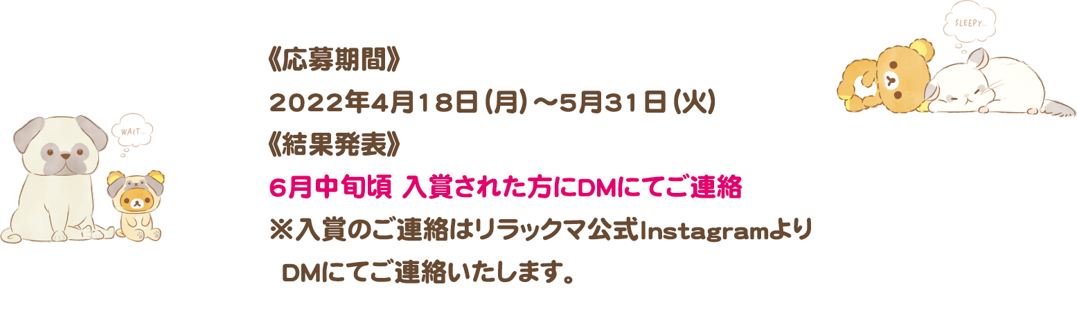 応募期間