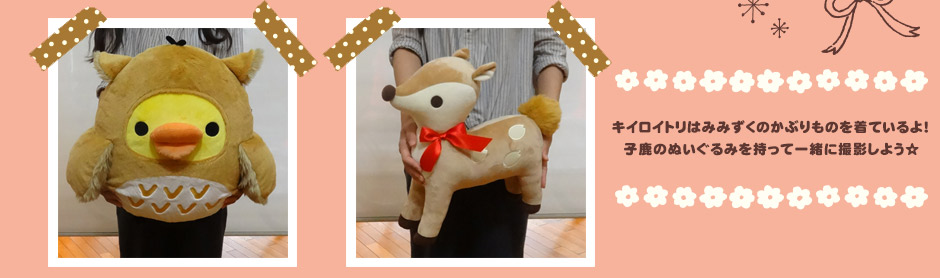 キイロイトリはみみずくのかぶりものを着ているよ!小鹿のぬいぐるみを持って一緒に撮影しよう