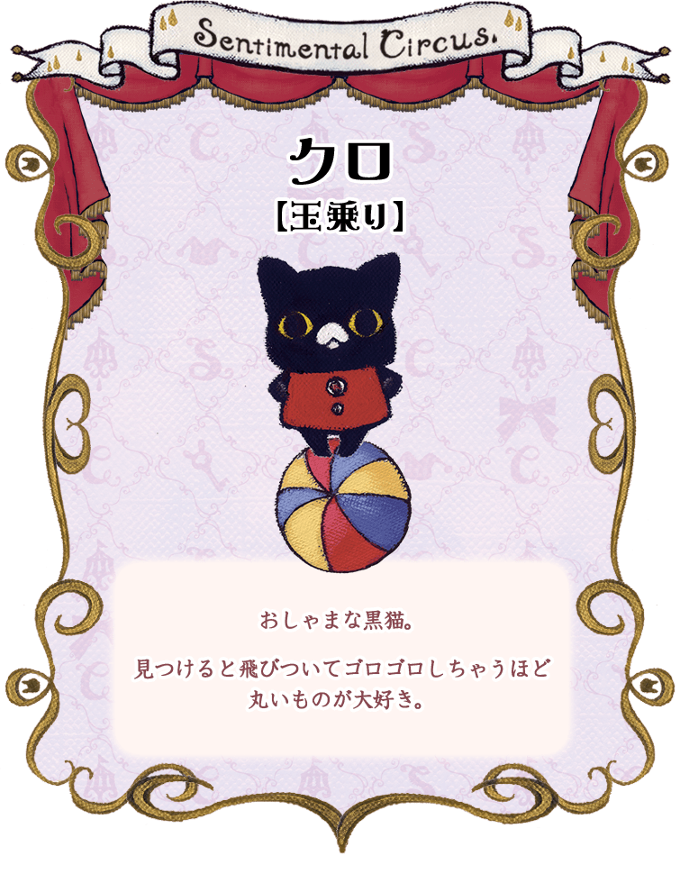 クロ【玉乗り】おしゃまな黒猫。見つけると飛びついてゴロゴロしちゃうほど
丸いものが大好き。