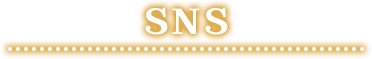 sns