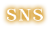 sns