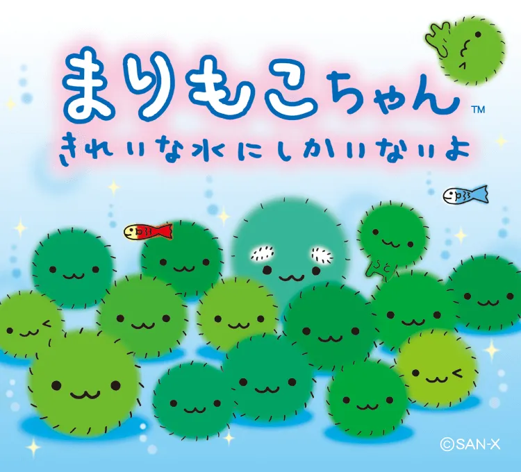 Marimoko-chan | San-x Net