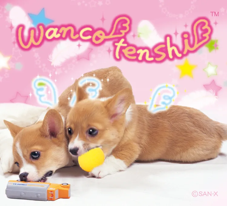わんわんわんこ
