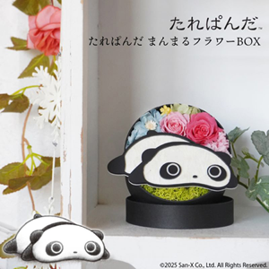たれパンダ　マスコット　クローバー　お花見だんご　San-X 楽天市場】サンエックス（関連作品たれぱんだ）の通販