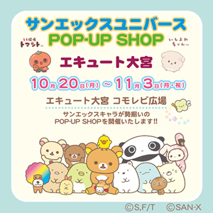 1014up_SXU_ecuteoomiya_gazo01_