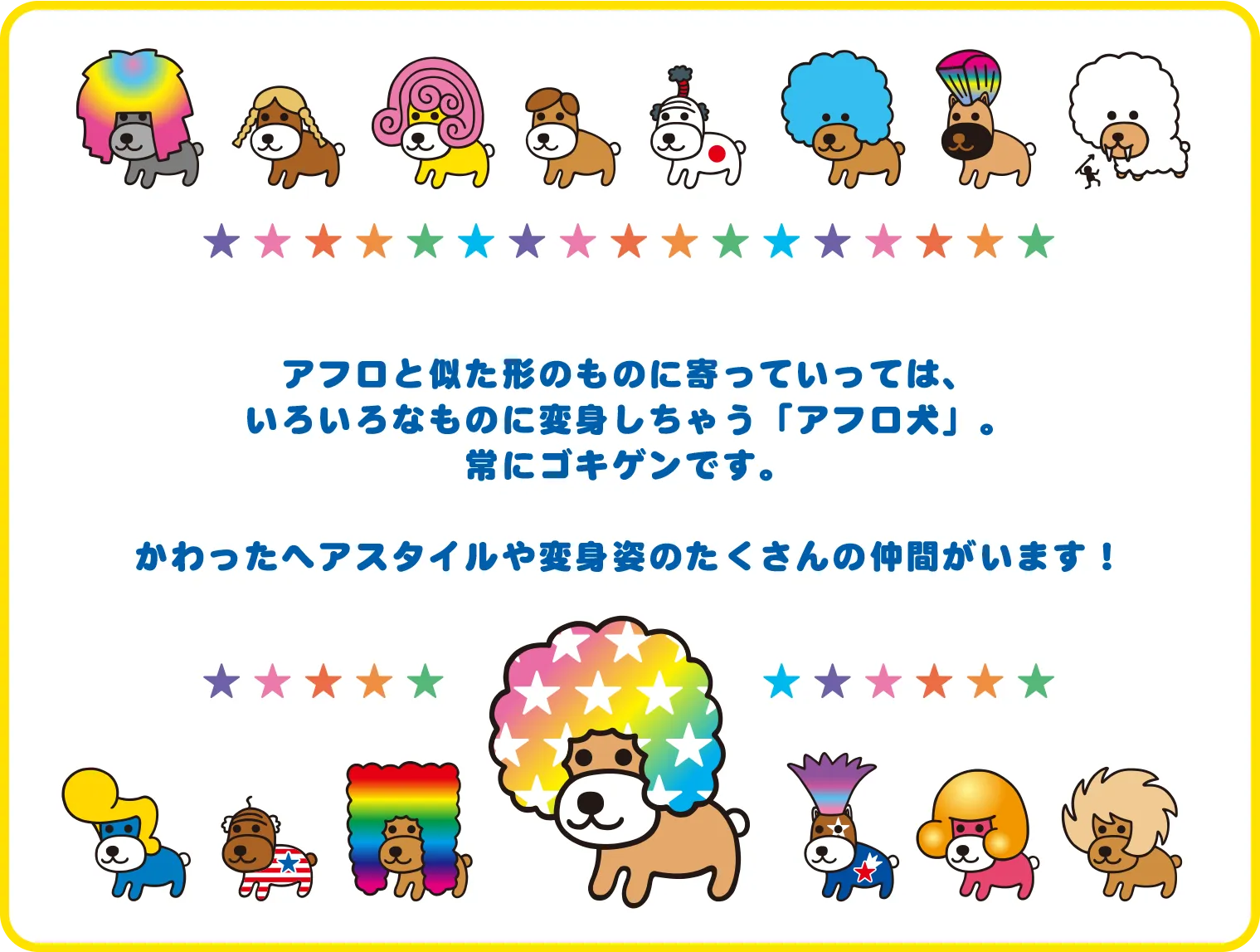 アフロ犬の紹介