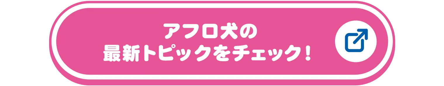 アフロ犬の最新トピックをチェック！
