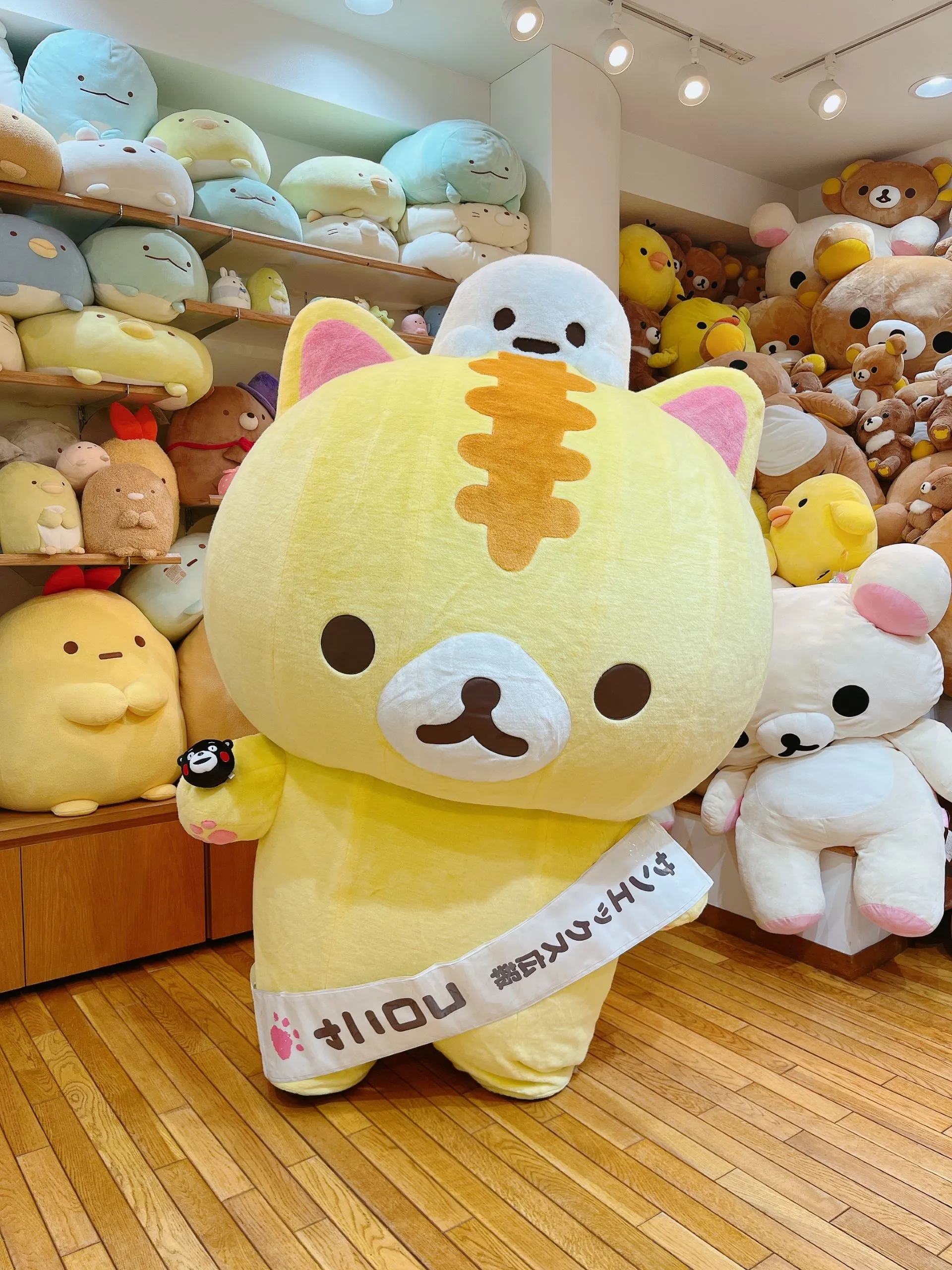 コロニャ画像01