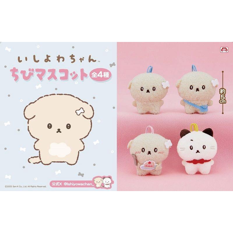 6月登場！「いしよわちゃん」「きょむきょむ生活」「たれぱんだ