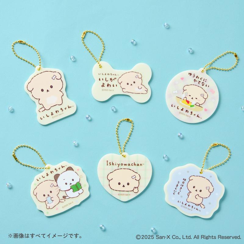 ようちゃんさん専用 いしよわちゃんに、かしこくて世渡り上手な新キャラ「後輩ちゃん」が