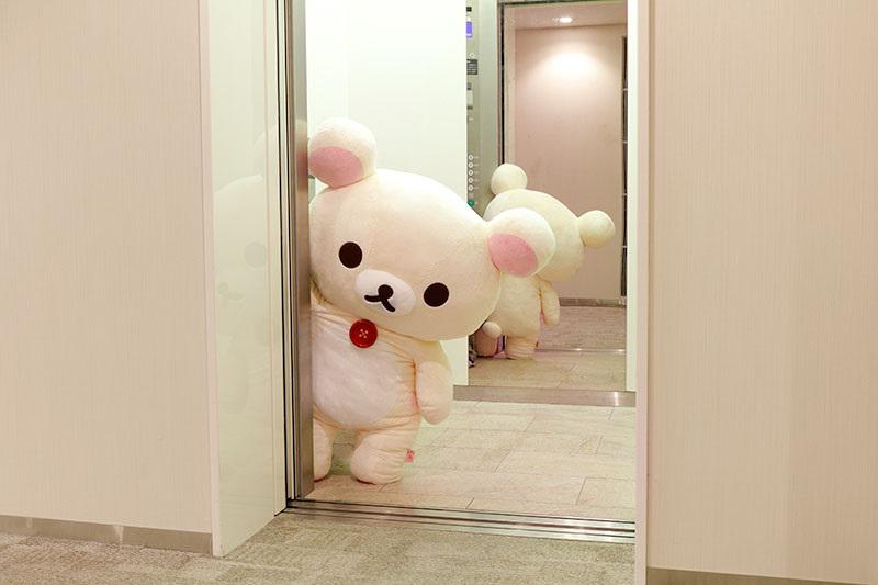 コリラックマ20周年記念☆超特大ぬいぐるみ受注スタート！ | San-xネット