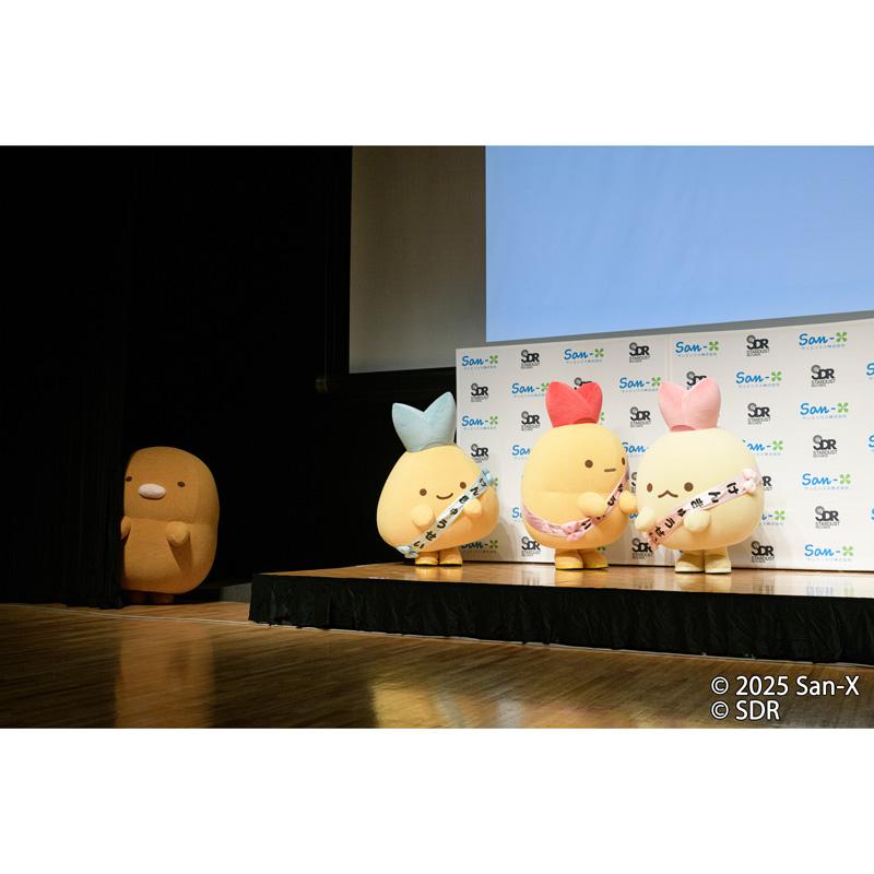 「しっぽず」がSDRに研究生として所属が決定！